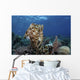 Broadclub Cuttlefish Hovers Open Water Wall Decal
