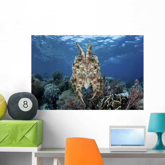Broadclub Cuttlefish Hovers Tentacles Wall Decal