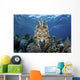 Broadclub Cuttlefish Hovers Tentacles Wall Decal