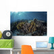 Beautiful and Fragile Coral Light Rays Wall Decal