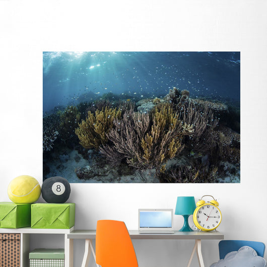 Beautiful and Fragile Coral Light Rays Wall Decal