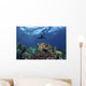 Broadclub Cuttlefish Hovers with Diver Wall Decal