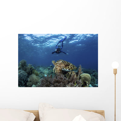 Broadclub Cuttlefish Hovers with Diver Wall Decal shown on a wall