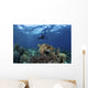 Broadclub Cuttlefish Hovers with Diver Wall Decal