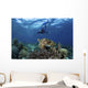 Broadclub Cuttlefish Hovers with Diver Wall Decal