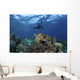Broadclub Cuttlefish Hovers with Diver Wall Decal