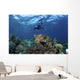 Broadclub Cuttlefish Hovers with Diver Wall Decal