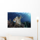 Broadclub Cuttlefish Hovers Wall Decal