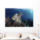 Broadclub Cuttlefish Hovers Wall Decal