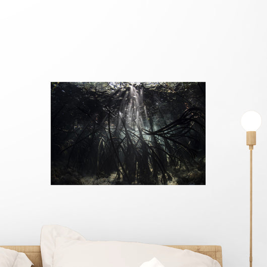 Bright Sunbeams Filter Roots Wall Decal