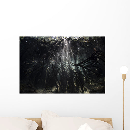Bright Sunbeams Filter Roots Wall Decal
