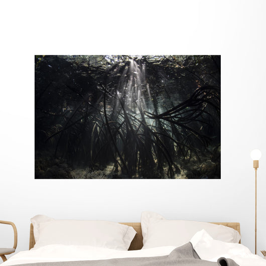 Bright Sunbeams Filter Roots Wall Decal