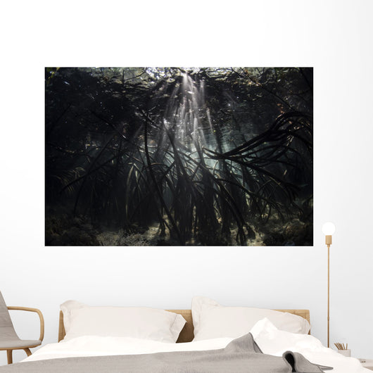 Bright Sunbeams Filter Roots Wall Decal