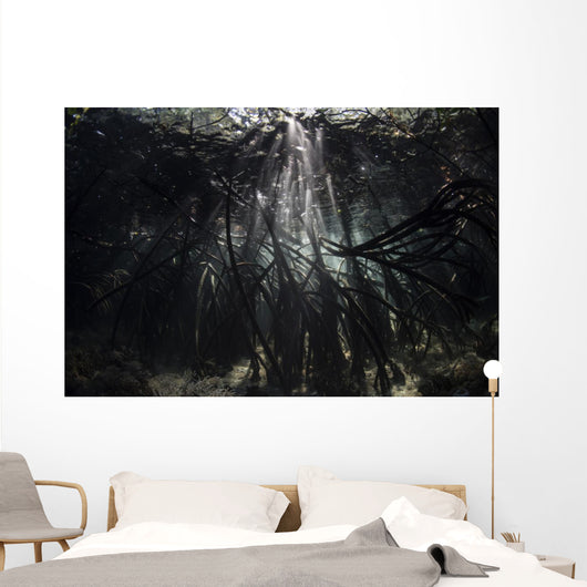Bright Sunbeams Filter Roots Wall Decal
