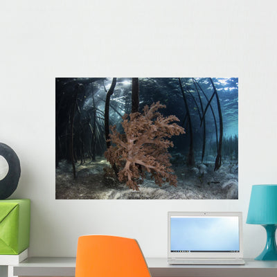Soft Coral Colony Grows Wall Decal shown on a wall