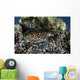 Young Hawksbill Sea Turtle Wall Decal