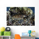 Young Hawksbill Sea Turtle Wall Decal