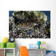 Young Hawksbill Sea Turtle Wall Decal