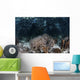 Variety Corals Grow along Wall Decal
