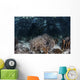 Variety Corals Grow along Wall Decal