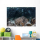Variety Corals Grow along Wall Decal