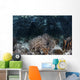 Variety Corals Grow along Wall Decal