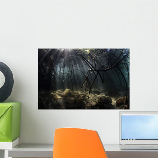 Bright Sunbeams Filter Fallen Branch Wall Decal