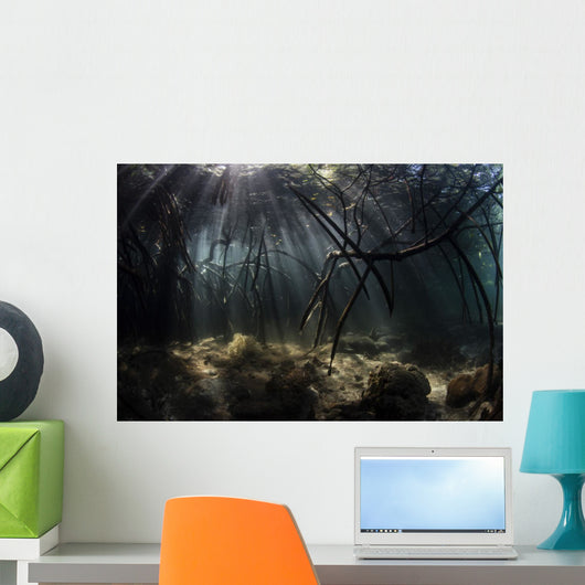 Bright Sunbeams Filter Fallen Branch Wall Decal