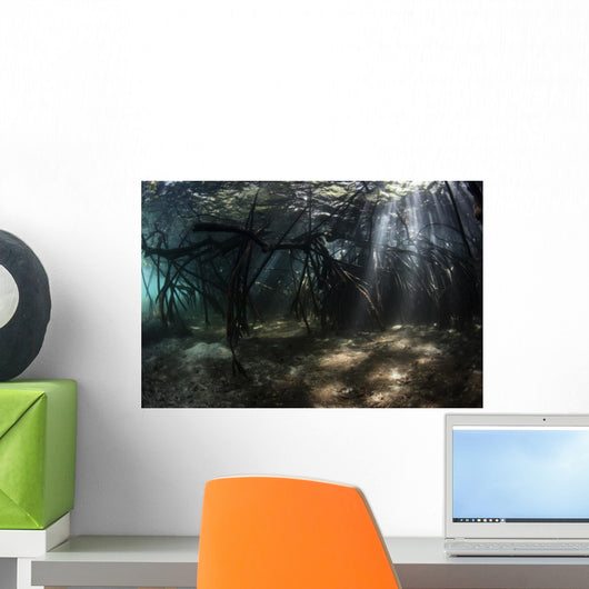Bright Sunbeams Filter Landscape Wall Decal