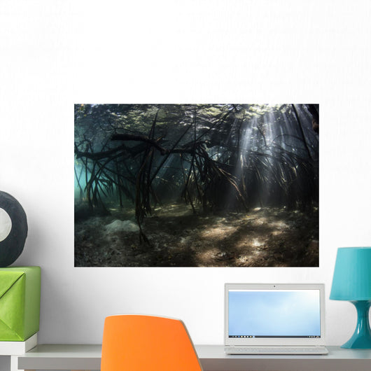 Bright Sunbeams Filter Landscape Wall Decal