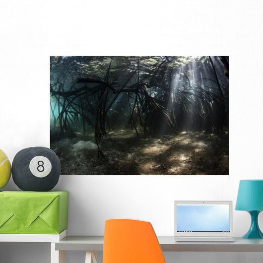 Bright Sunbeams Filter Landscape Wall Decal