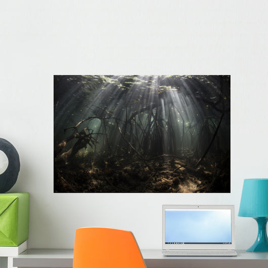 Bright Sunbeams Filter Dark Wall Decal