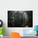 Bright Sunbeams Filter Dark Wall Decal