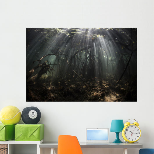 Bright Sunbeams Filter Dark Wall Decal