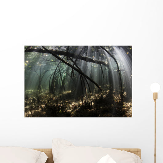 Bright Sunbeams Filter Rippling Water Wall Decal