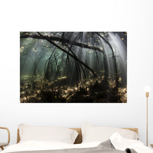 Bright Sunbeams Filter Rippling Water Wall Decal
