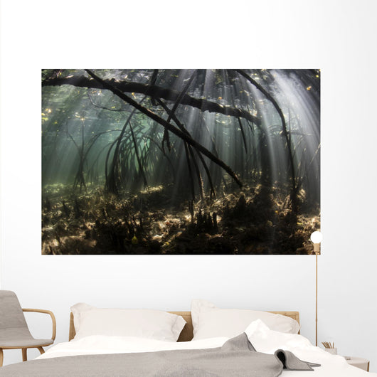 Bright Sunbeams Filter Rippling Water Wall Decal