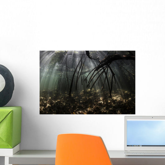 Bright Sunbeams Filter Water Surface Wall Decal