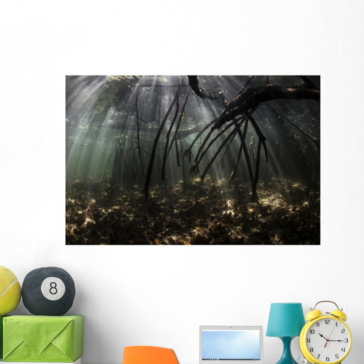 Bright Sunbeams Filter Water Surface Wall Decal