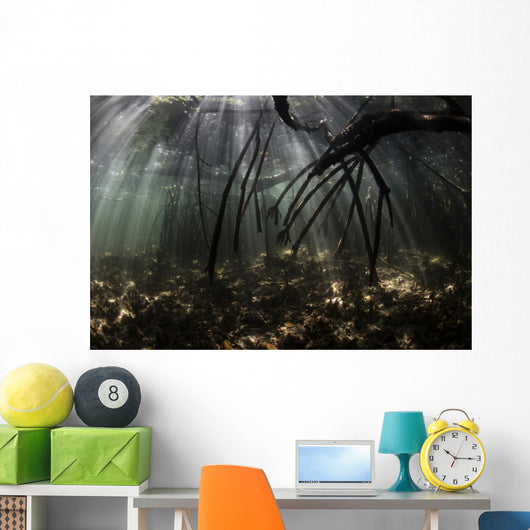 Bright Sunbeams Filter Water Surface Wall Decal