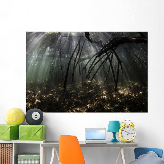 Bright Sunbeams Filter Water Surface Wall Decal