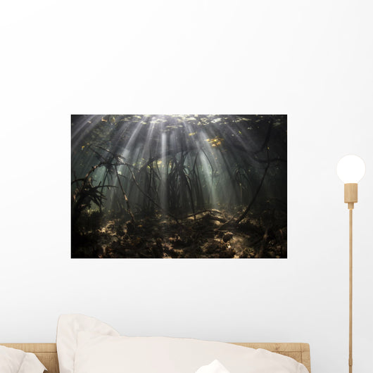 Bright Sunbeams Filter Wall Decal