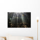 Bright Sunbeams Filter Wall Decal