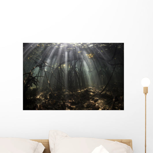 Bright Sunbeams Filter Wall Decal