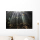 Bright Sunbeams Filter Wall Decal
