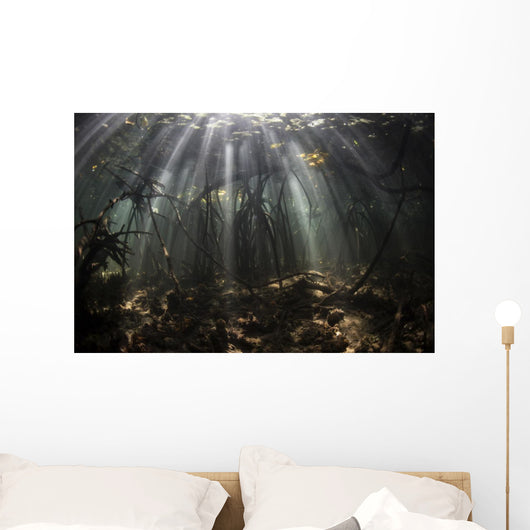 Bright Sunbeams Filter Wall Decal