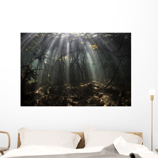 Bright Sunbeams Filter Wall Decal