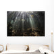 Bright Sunbeams Filter Wall Decal