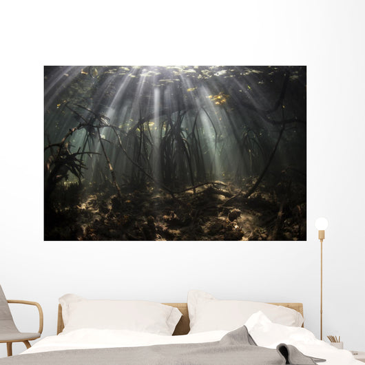 Bright Sunbeams Filter Wall Decal