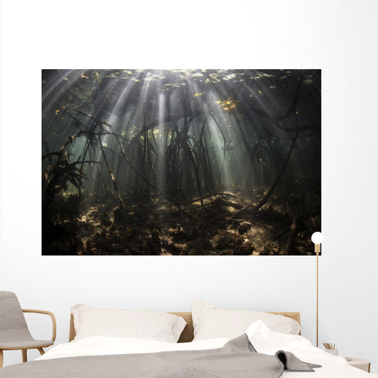 Bright Sunbeams Filter Wall Decal